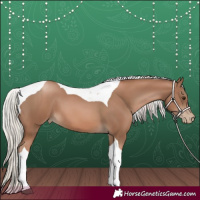 Horse Color:Silver Black Pearl Tobiano 