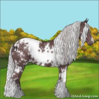 Horse Color:White Spotted Chocolate Silver Black Chinchilla 