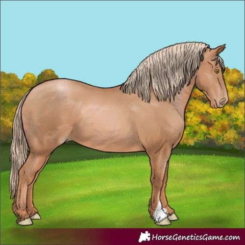 Horse Color:Chestnut Pearl 
