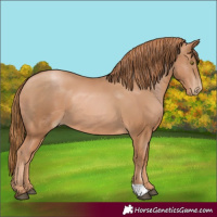 Horse Color:Chestnut Pearl 