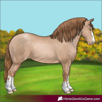Horse Color:Chestnut Pearl 