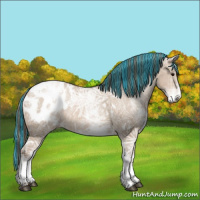 Horse Color:Painted White Spotted Grullo Ice Pearl Appaloosa 