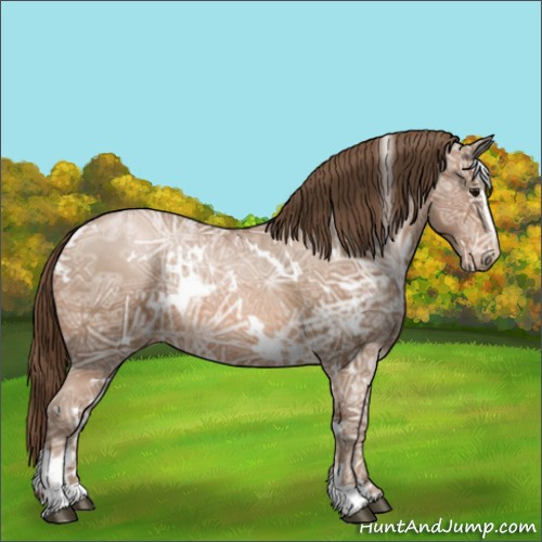 Horse Color:White Spotted Brown Ice Pearl Sabino Appaloosa 
