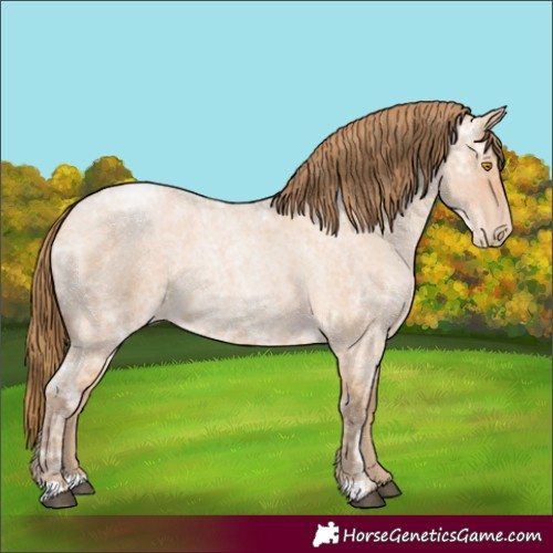 Horse Color:Bay Ice Roan Pearl 