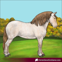 Horse Color:Bay Ice Roan Pearl 