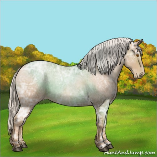 Horse Color:Silver Blue Ice Roan Pearl 