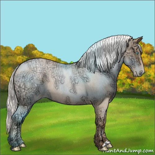 Horse Color:Silver Sable Champagne Ice Roan Pearl