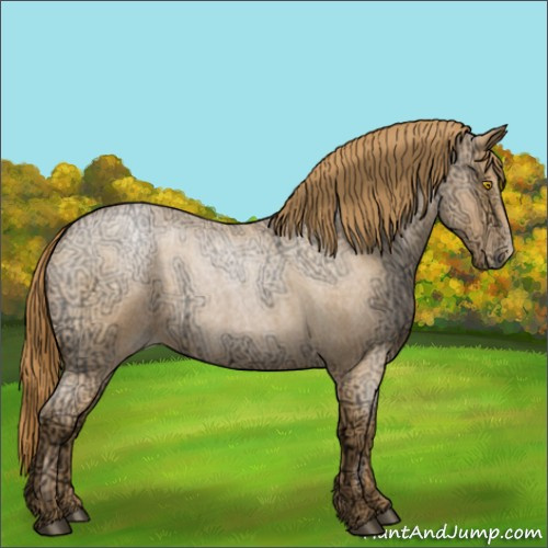 Horse Color:Bay Ice Roan Pearl 