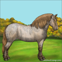 Horse Color:Bay Ice Roan Pearl 