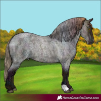 Horse Color:Midnight Bay Ice Roan Pearl 