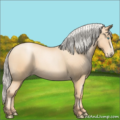 Horse Color:Silver Amber Champagne Pearl 