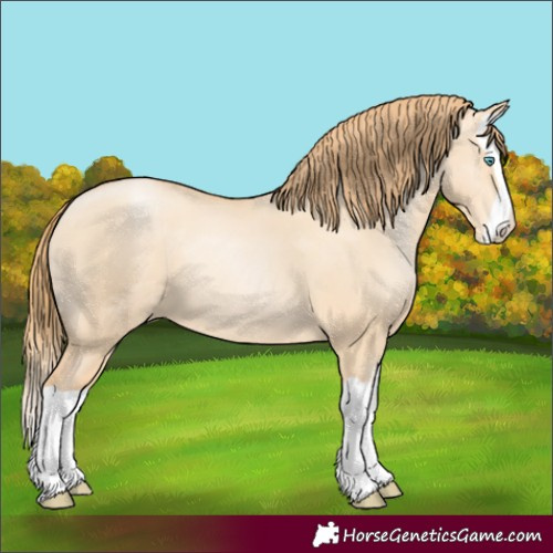 Horse Color:Gold Champagne Pearl Dun Splash 