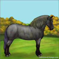 Horse Color:Midnight Blue Ice Roan Pearl 