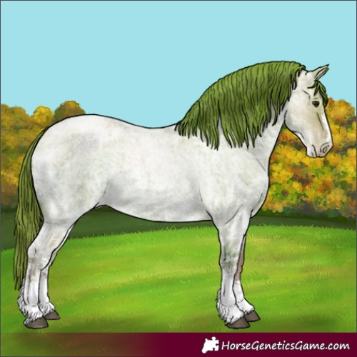 Horse Color:Blue Ice Roan Pearl Sabino