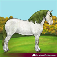 Horse Color:Blue Ice Roan Pearl Sabino 