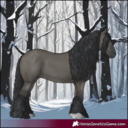 Horse Color:Grullo 
