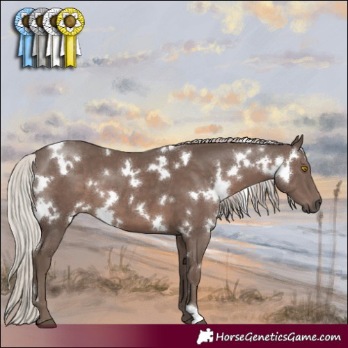 Horse Color:White Spotted Silver Black