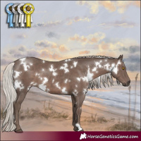 Horse Color:White Spotted Silver Black 
