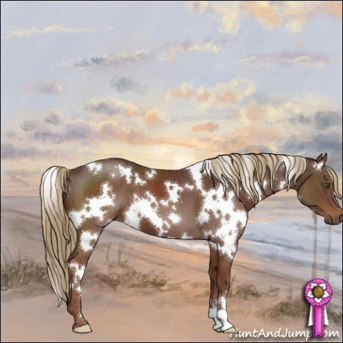 Horse Color:White Spotted Liver Chestnut 