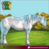 Horse Color:Watercolor White Spotted Liver Red Onyx 