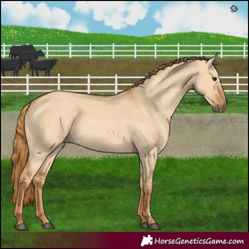 Horse Color:Red Dun