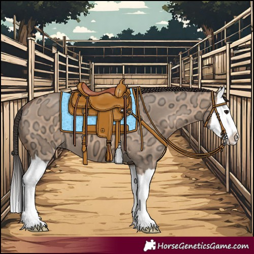 Horse Color:Bay Ice Dun Splash 