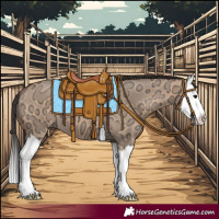 Horse Color:Bay Ice Dun Splash