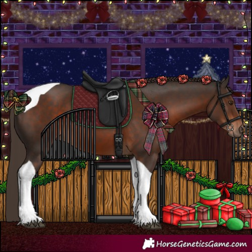 Horse Color:Liver Chestnut Tobiano 