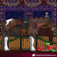 Horse Color:Liver Chestnut Tobiano 