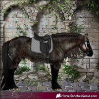 Horse Color:Void Brown Ice Roan Onyx Splash 