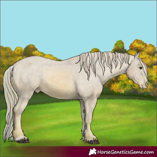 Horse Color:Watercolor Chestnut Appaloosa 