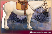 Horse Color:Silver Buckskin Pearl 