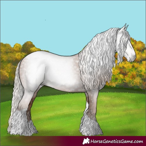 Horse Color:Gray Silver Black Pearl Tobiano 