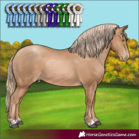Horse Color:Chestnut Pearl 