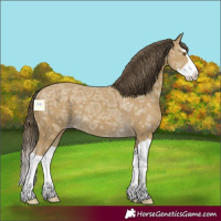 Horse Color:Classic Cream Champagne Ice Splash 