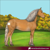 Horse Color:Palomino 