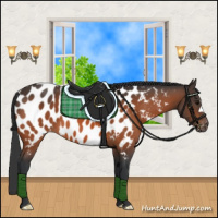 Horse Color:Bay Appaloosa