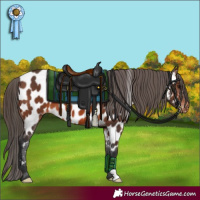 Horse Color:Brown Near Leopard 