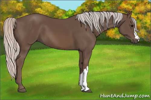 Horse Color:Silver Black 