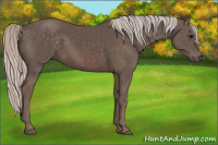 Horse Color:Silver Black 