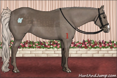Horse Color:Silver Black 
