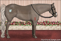 Horse Color:Silver Black 