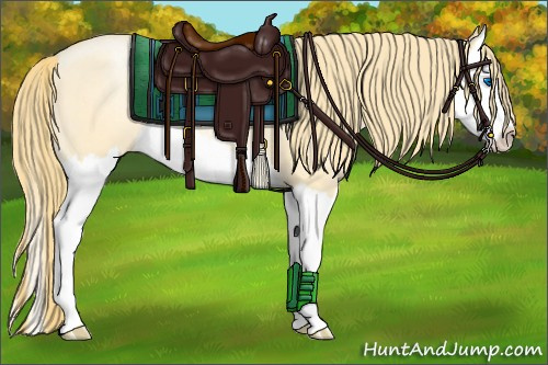 Horse Color:Buckskin Roan Pearl Splash