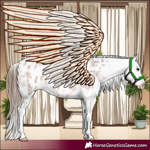 Horse Color:Bay Ice Roan Near Leopard 
