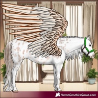 Horse Color:Bay Ice Roan Near Leopard