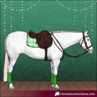 Horse Color:Gold Champagne Ice Roan Appaloosa 