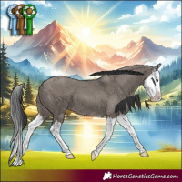 Horse Color:Grullo Splash 