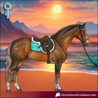 Horse Color:Chocolate Palomino 