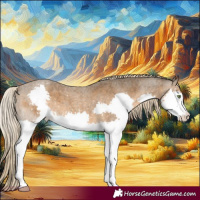 Horse Color:Chocolate Palomino Roan Splash