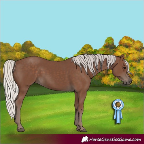 Horse Color:Silver Black 